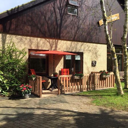 De Vier Berken 2 Bed and Breakfast De Koog  Eksteriør billede